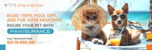 Sun, Sand, and Safety – All in One Leash! Sun, Sand, and Safety – All in One Leash!