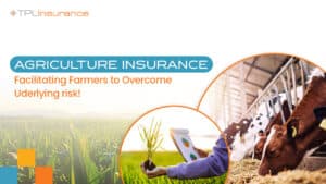Agriculture Insurance Agriculture Insurance
